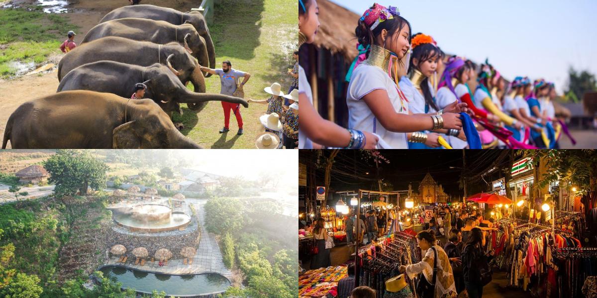 Tour Chiang Mai - Chiang Rai