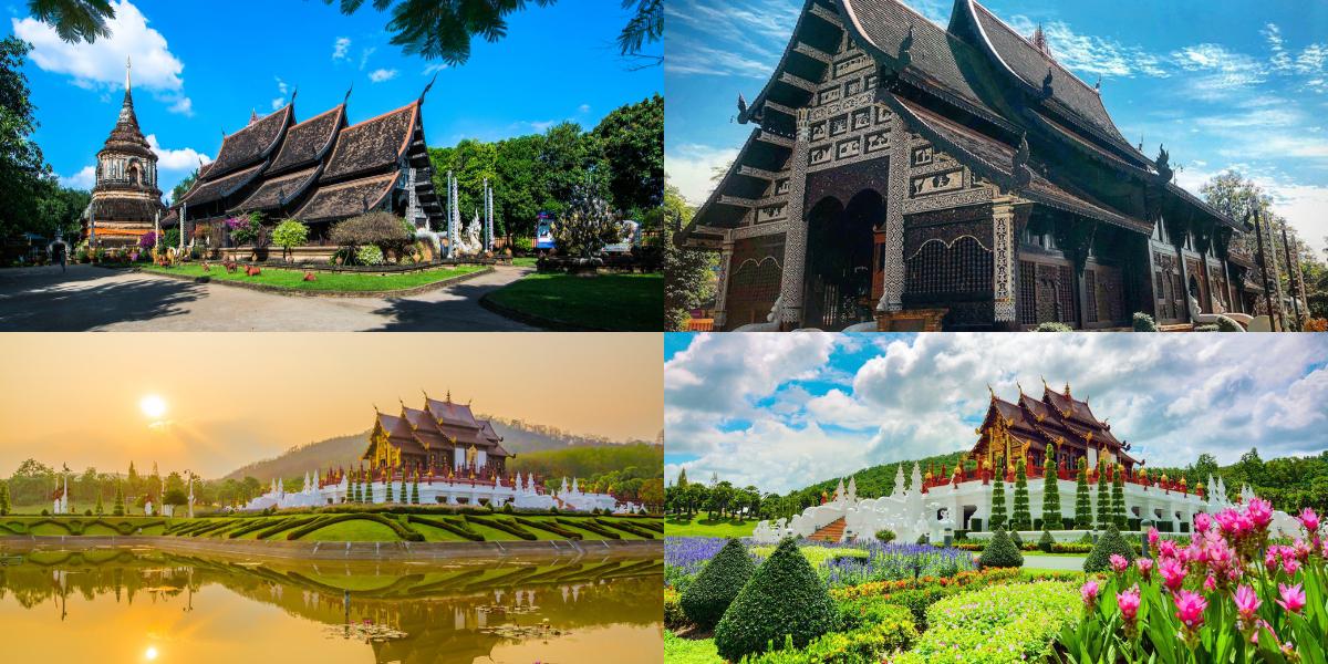 Tour Chiang Mai - Chiang Rai