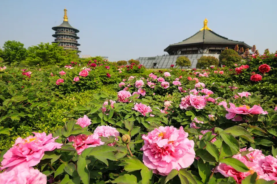 Trung Quốc No Shop: Vũ Hán – Khai Phong – Lạc Dương - Hoa Sơn – Tây An