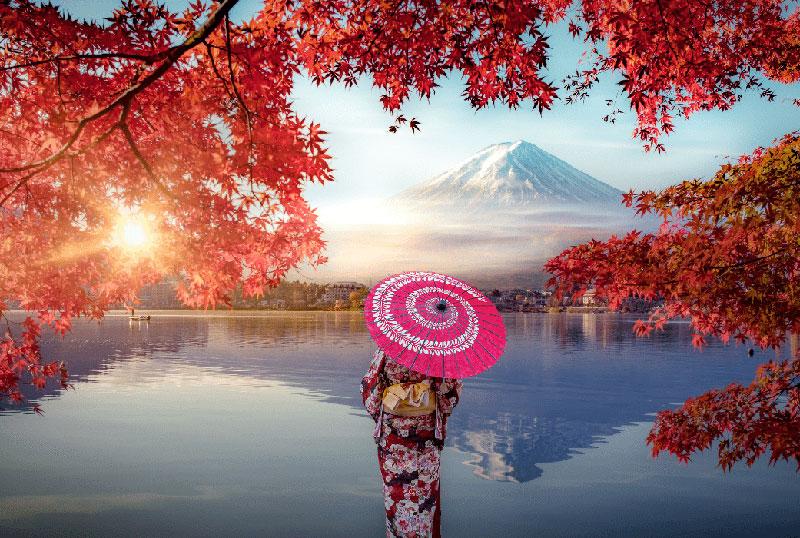 Nhật Bản: Tokyo - Núi Phú Sĩ - Nagoya - Kyoto - Osaka