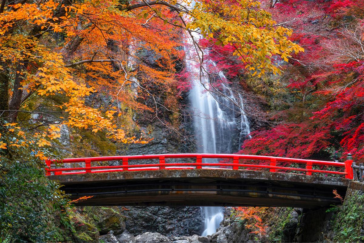 Nhật Bản: Osaka - Kyoto - Nagoya - Phú Sĩ - Tokyo