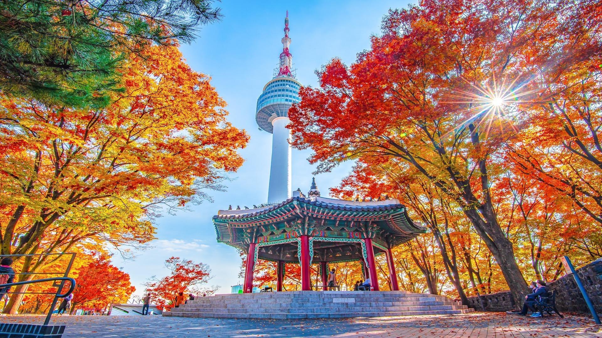 Hàn Quốc: Seoul - Nami - Everland