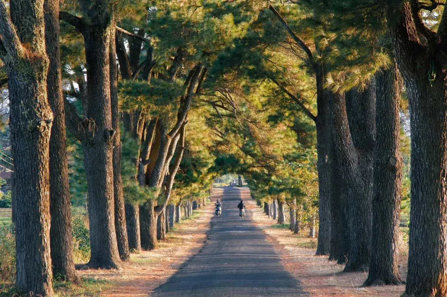 Tour image