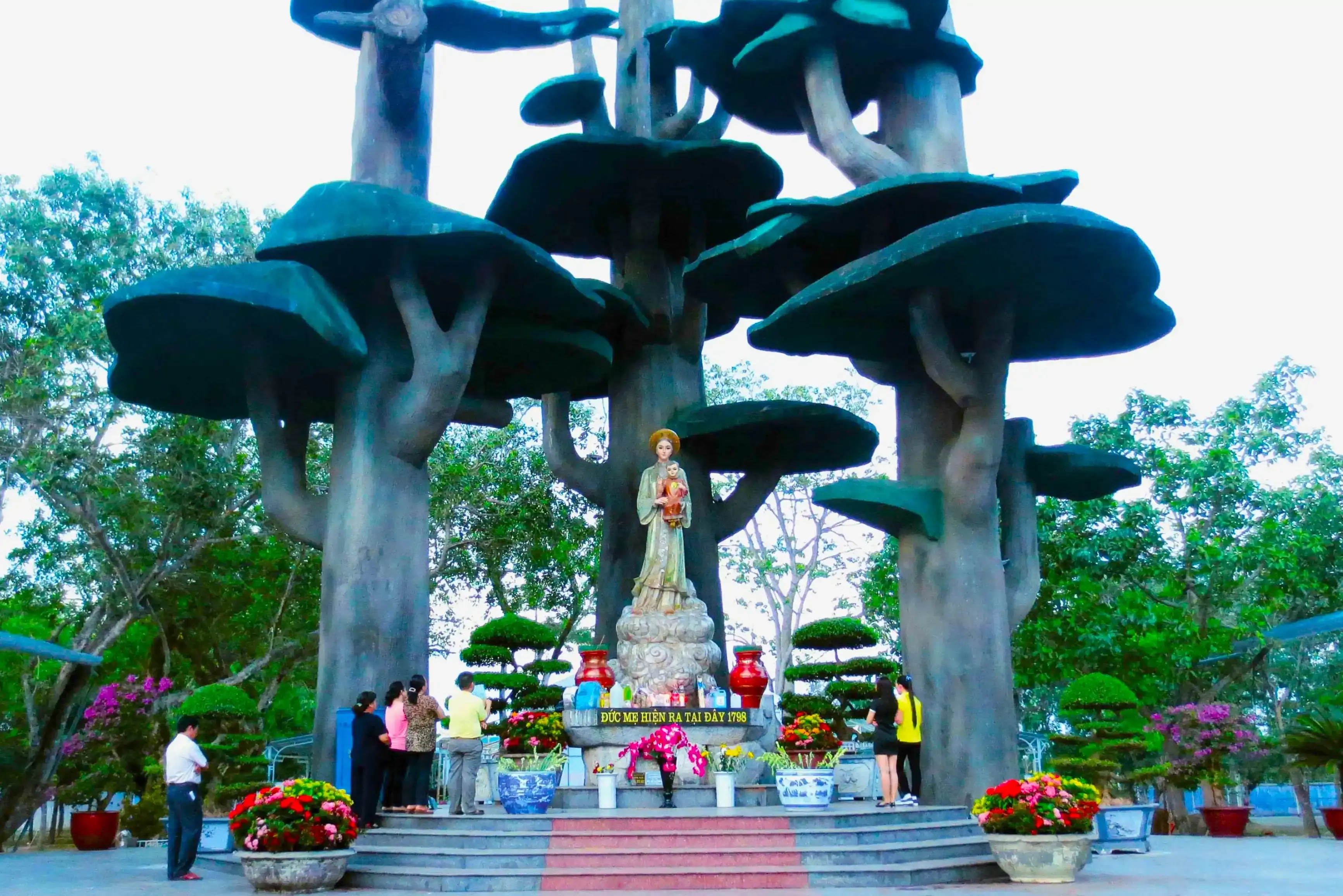 Tour image
