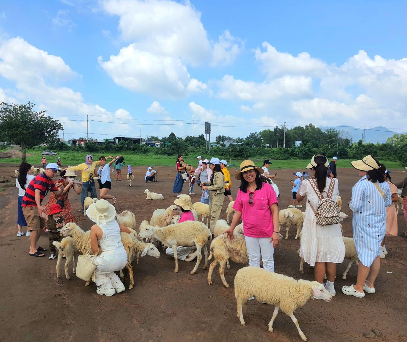 tour-doan-truong-mam-non-tam-phu-tham-quan-ho-tram-4.jpg