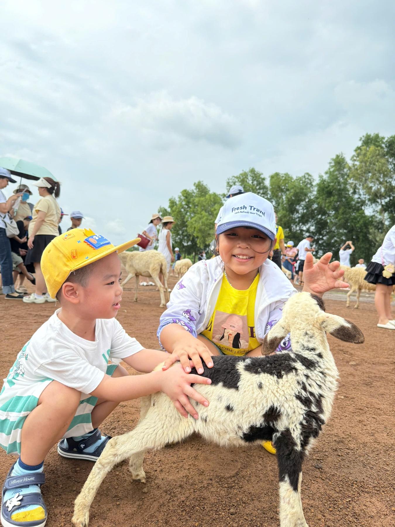 tour-khach-doan-truong-mam-non-linh-trung-du-lich-vung-tau-3.jpg